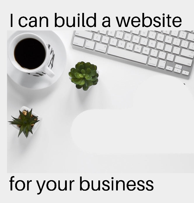 Build A Website for your business (E-Commerce) - Shopify